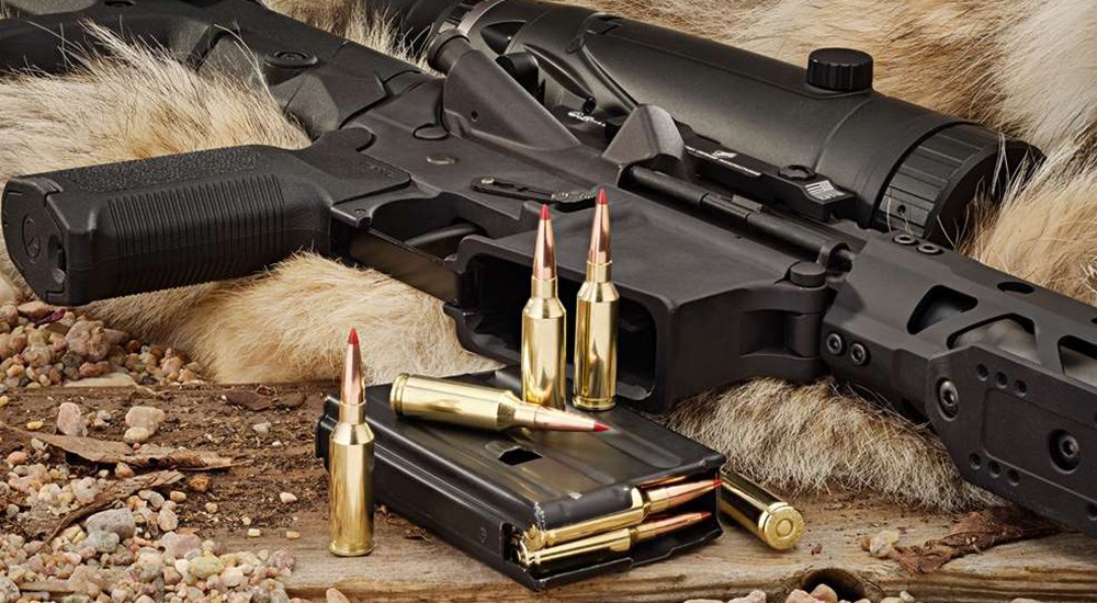 Hornady 22 ARC rifle cartridges in box magazine.