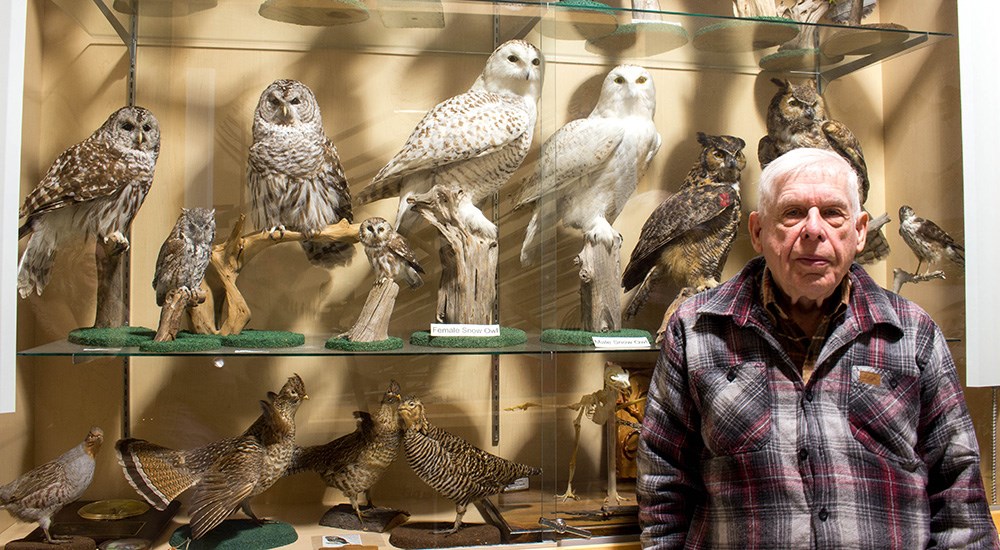 Adult male standing in front of owl taxidermy collection in museum.