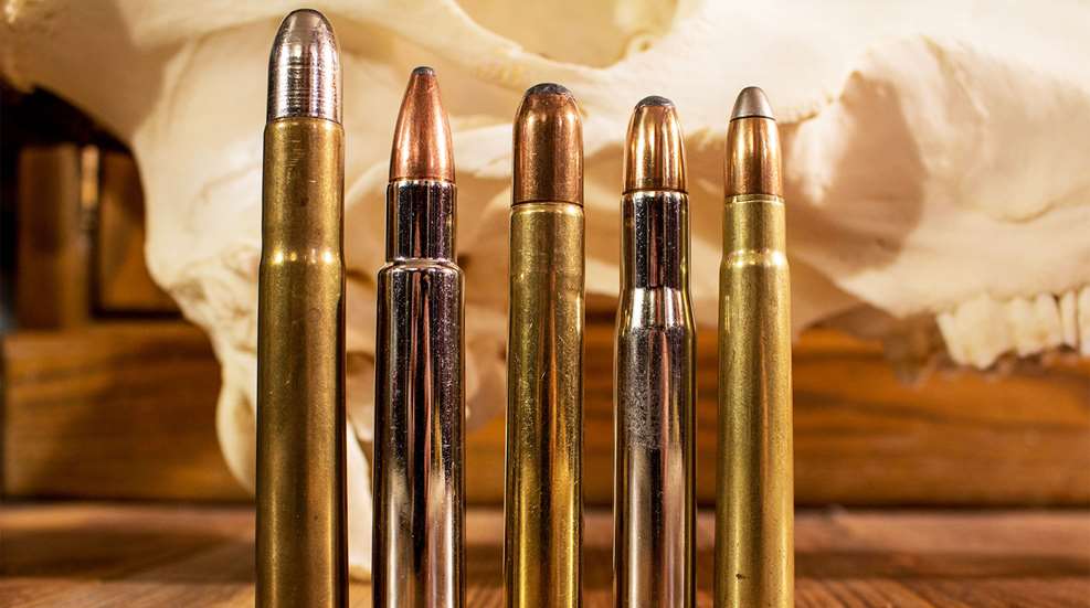 Top 5 Dangerous Game Cartridges Lead