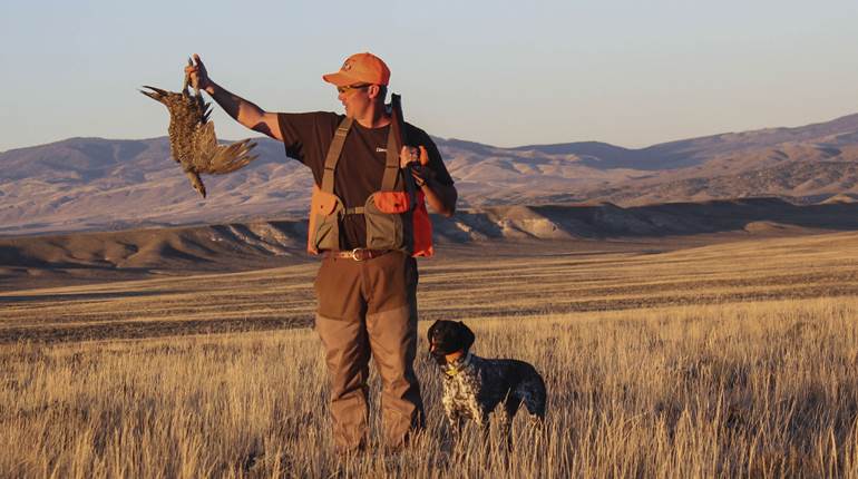 Upland Birds of the Wild West | An Official Journal Of The NRA