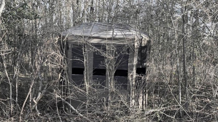 maingb100-buck-blind.jpg