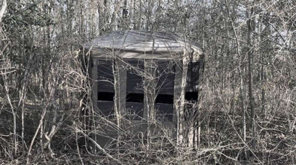 maingb100-buck-blind.jpg
