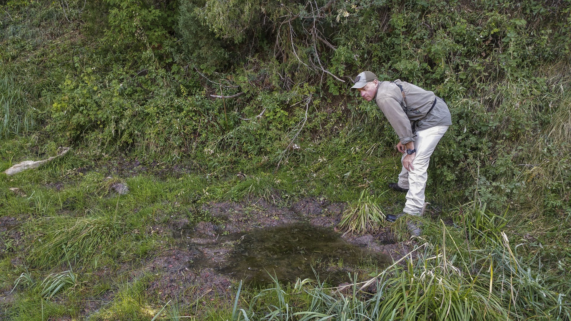 Scouting a wallow
