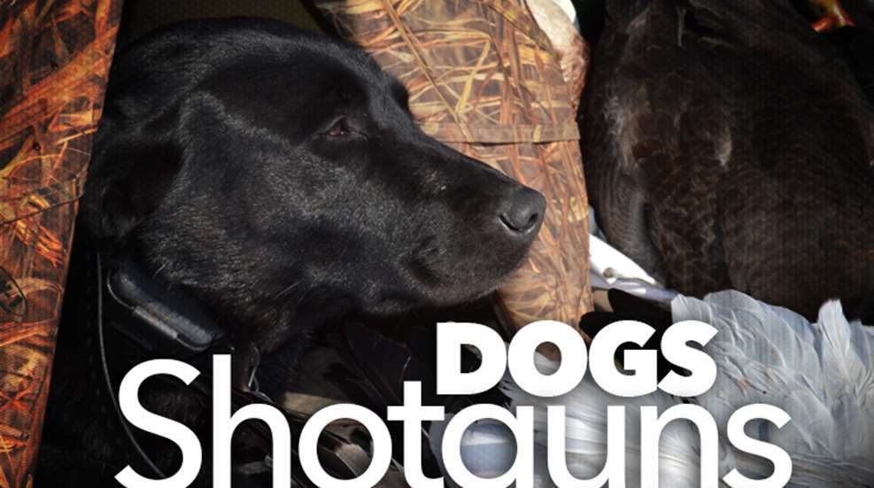 dogs_ah2015_fs.jpg (63)