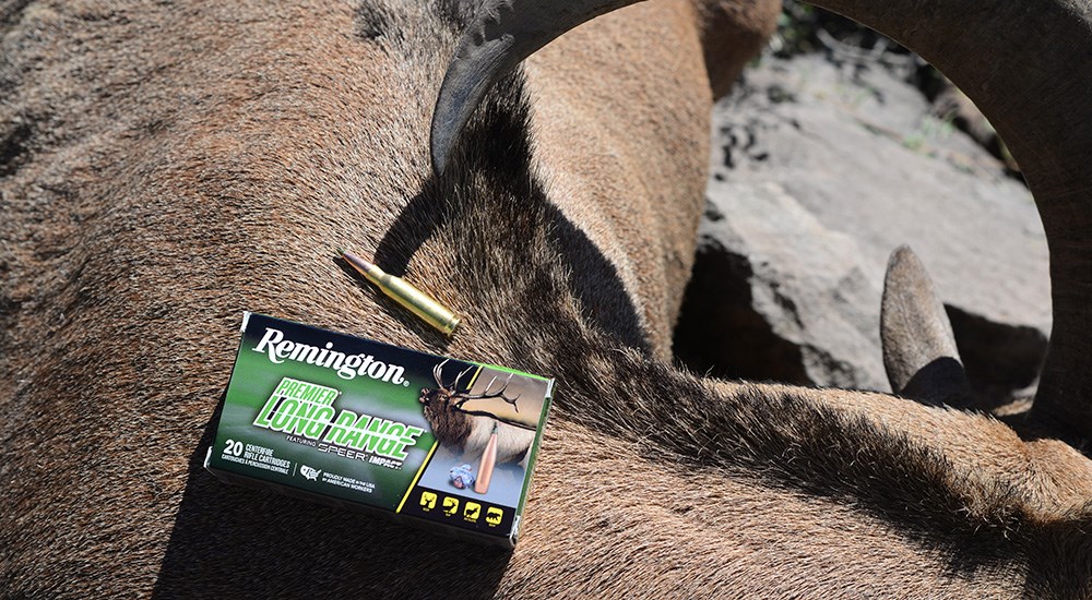 Remington Premier Long Range .308 Winchester ammunition on back of Texas aoudad.