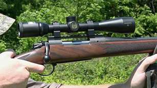 b14_timber_sg_f.jpg