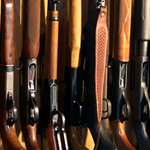 201231314227-organizing_hunting_gear_in_offseason_lead.jpg