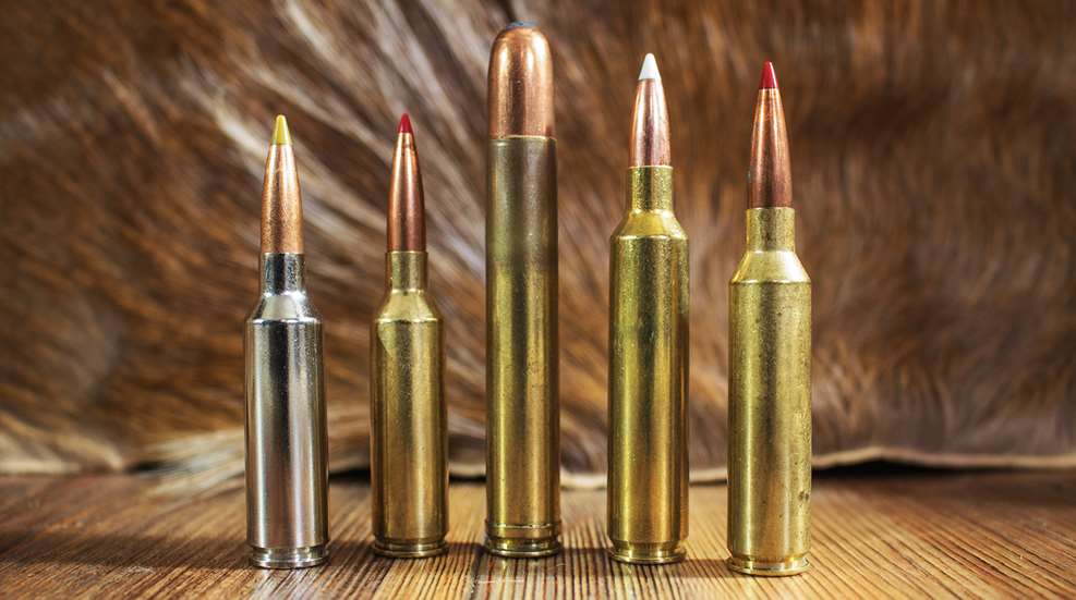 Top 5 Magnum Cartridges W O Magnum Name Lead
