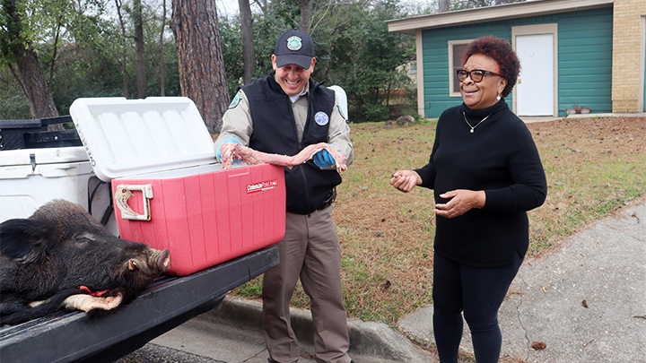 Game Warden Delivering Wild Hog Meat to Local Community