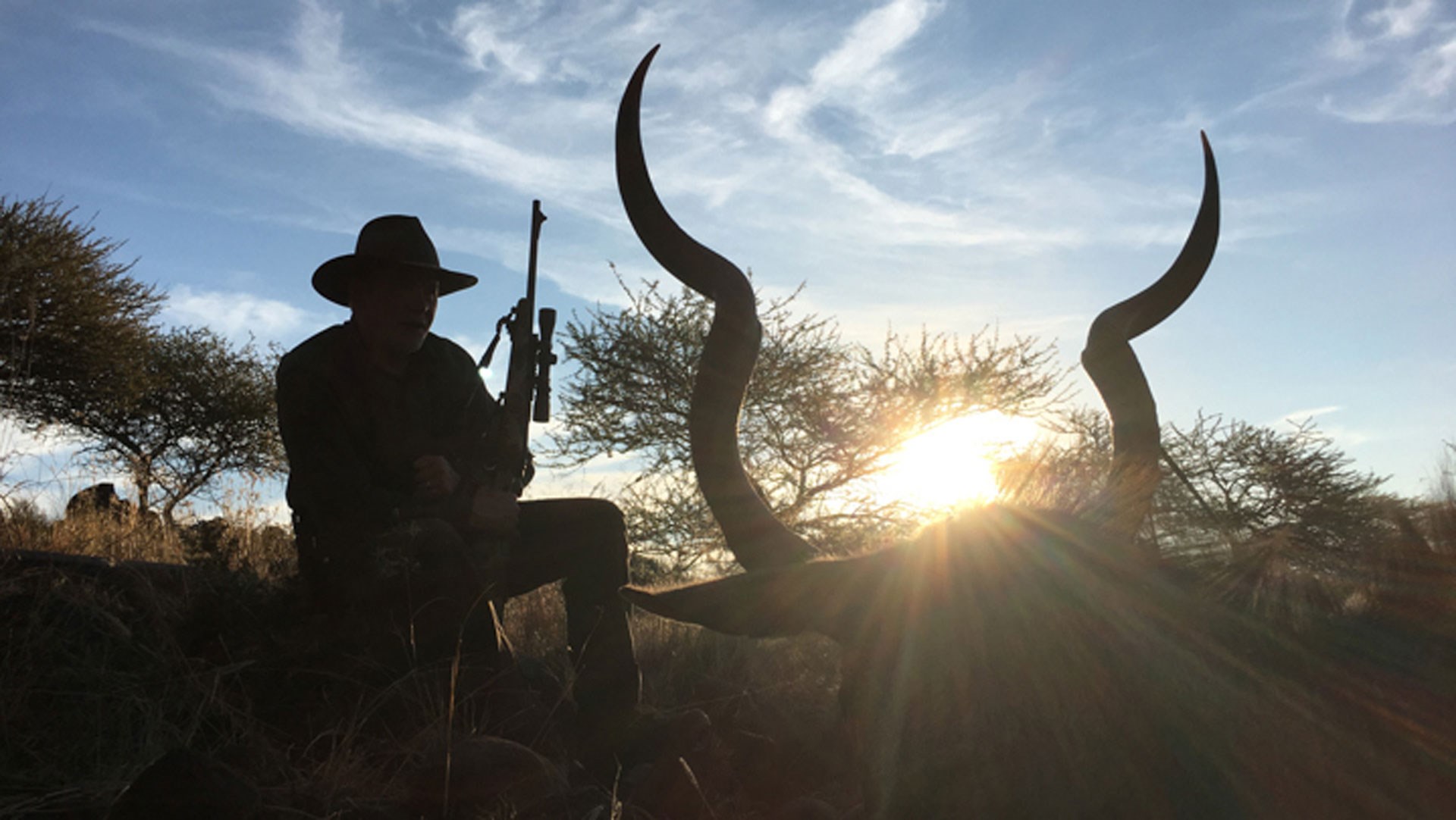 Sun coming through kudu horns