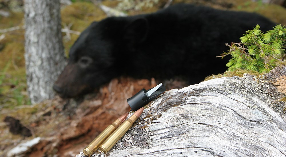 Rifle bullets and predator call resting on tree limb with black bear in background.