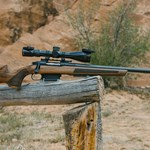 New for 2026: Woox Elegante Hybrid Bolt Action Stock | An Official Journal Of The NRA