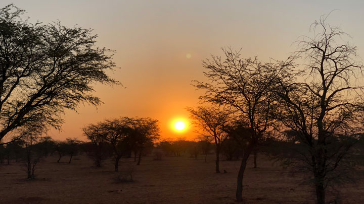 Sunset in Africa