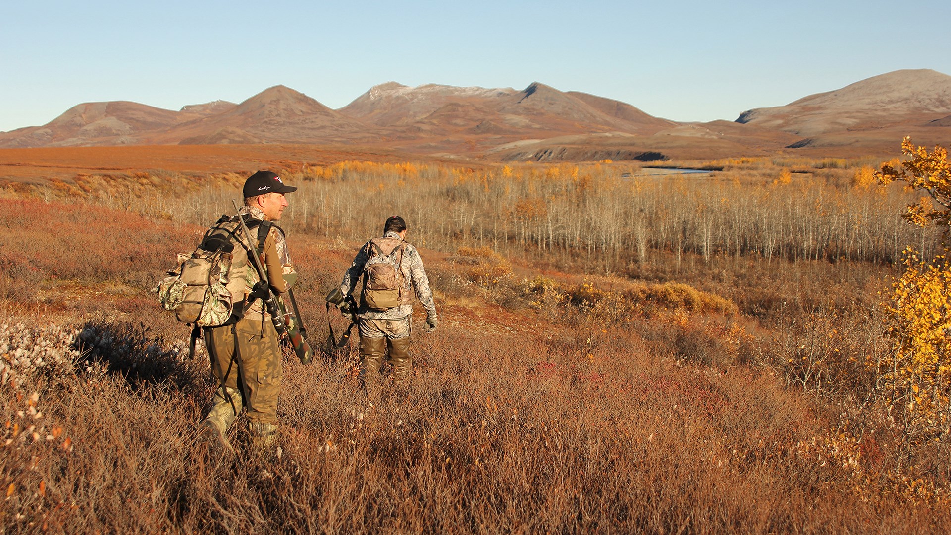 Hunting through the tundra