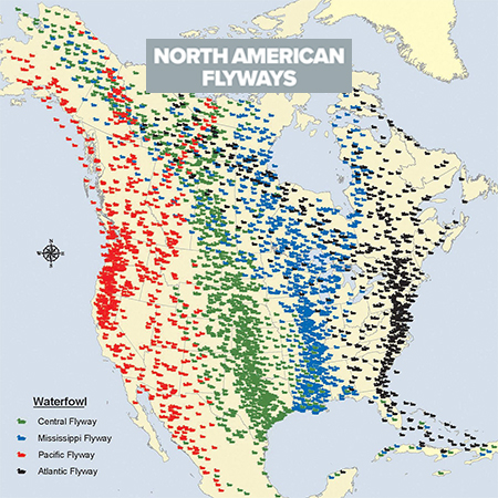 North American Flyways