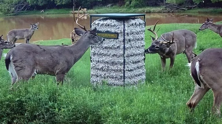 New for 2026: Texas Hunter Products 300-lb. Cottonseed Feeder | An Official Journal Of The NRA