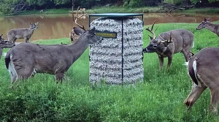 New for 2026: Texas Hunter Products 300-lb. Cottonseed Feeder | An Official Journal Of The NRA