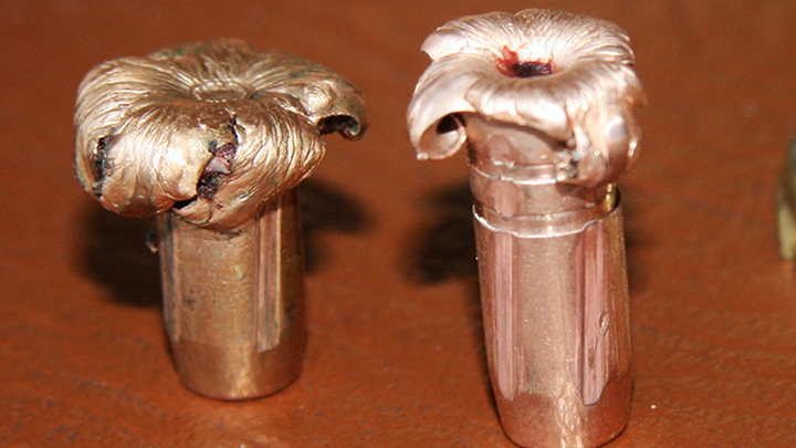 Two Mushroom Recovered Bullets