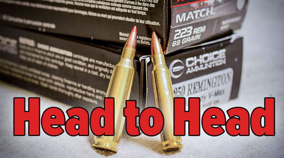 head-to-head-250-223.jpg