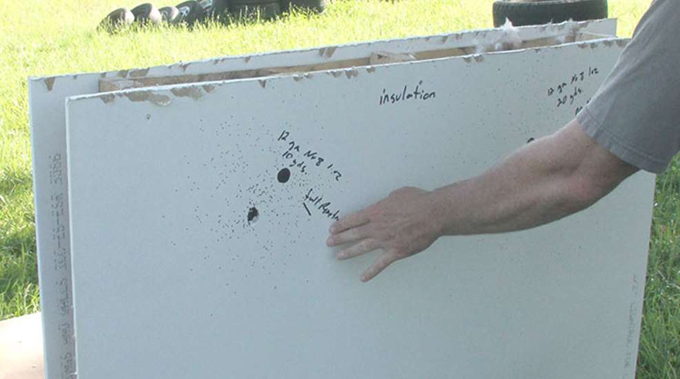 birdshot_self_defense_f.jpg