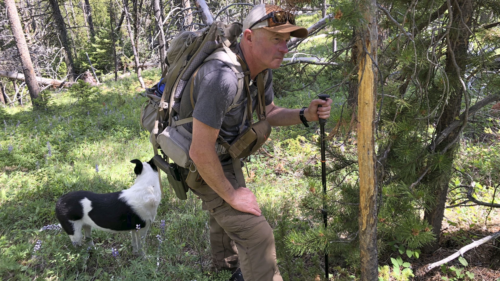Learning Elk Country