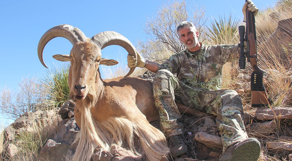 Hunter posing with Aoudad Barbary sheep in Texas on mountainside.