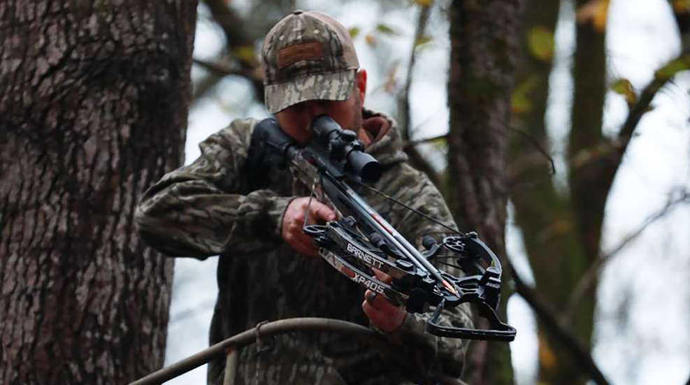 Barnett Hyper XP 405 Lead