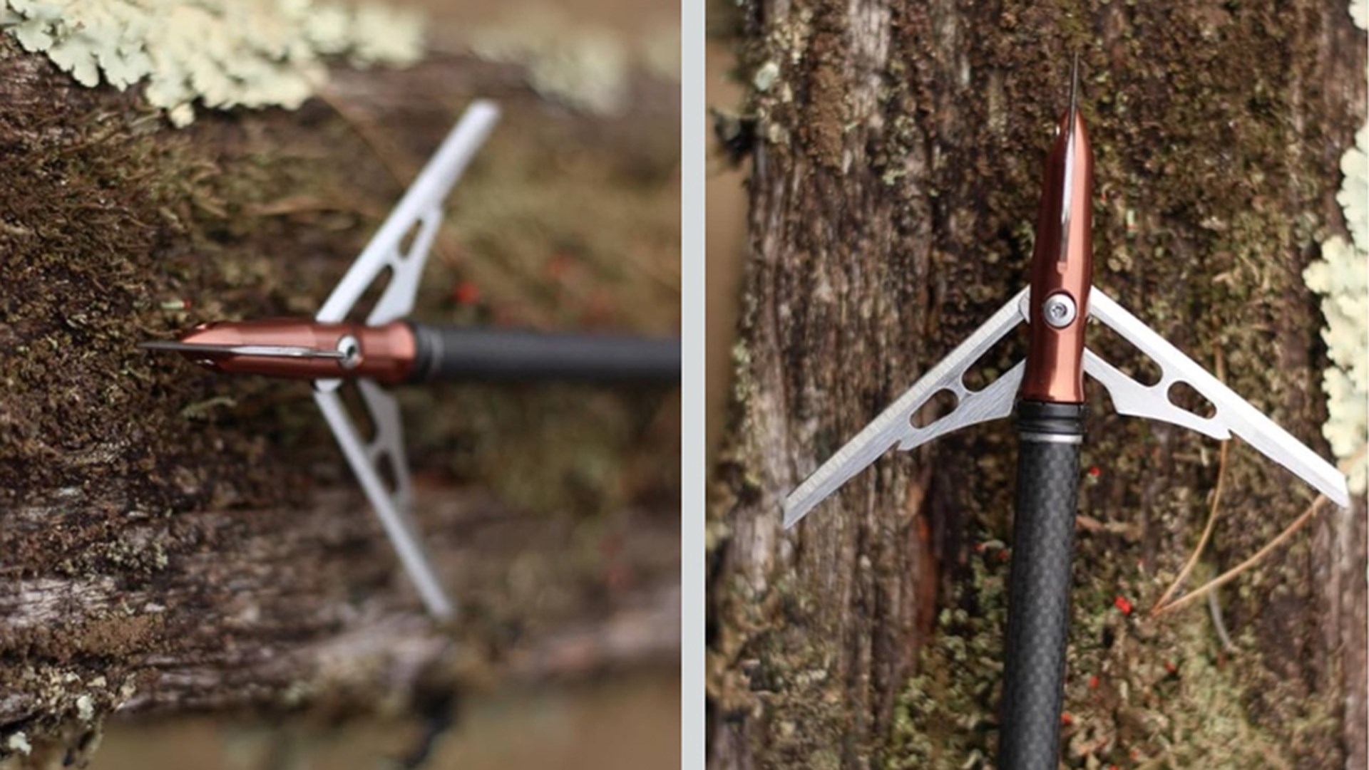 Broadheads on a tree