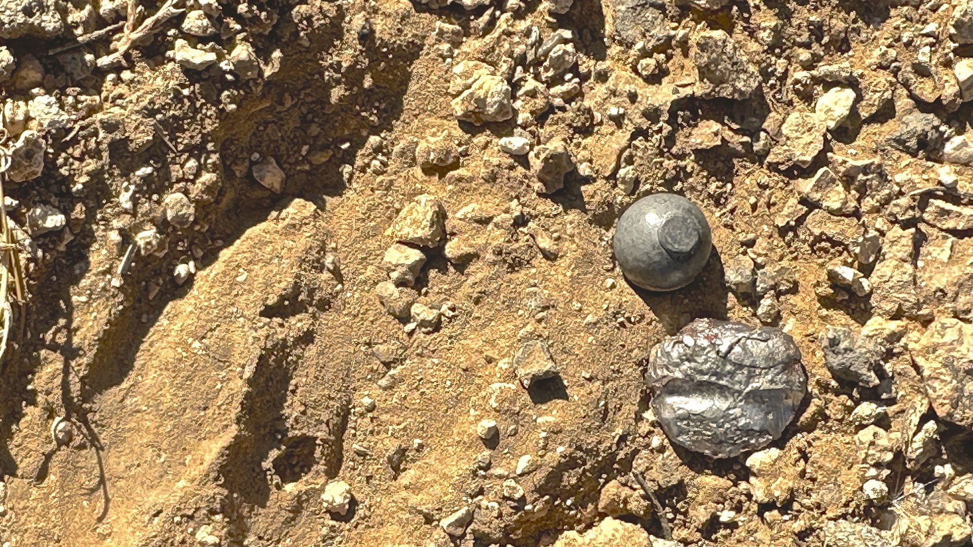 lead muzzleloader ball