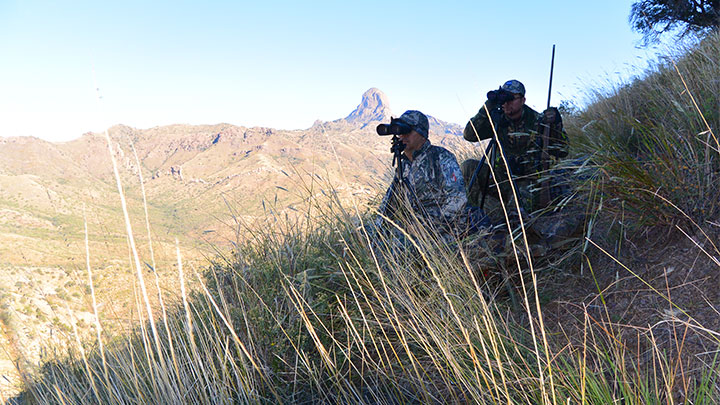 Hunters searching for game animals with binoculars