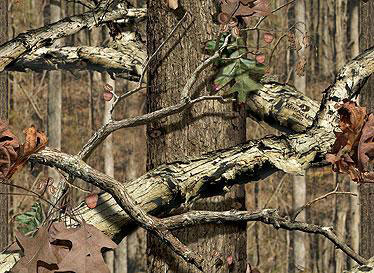 Mossy Oak's Newest Camo