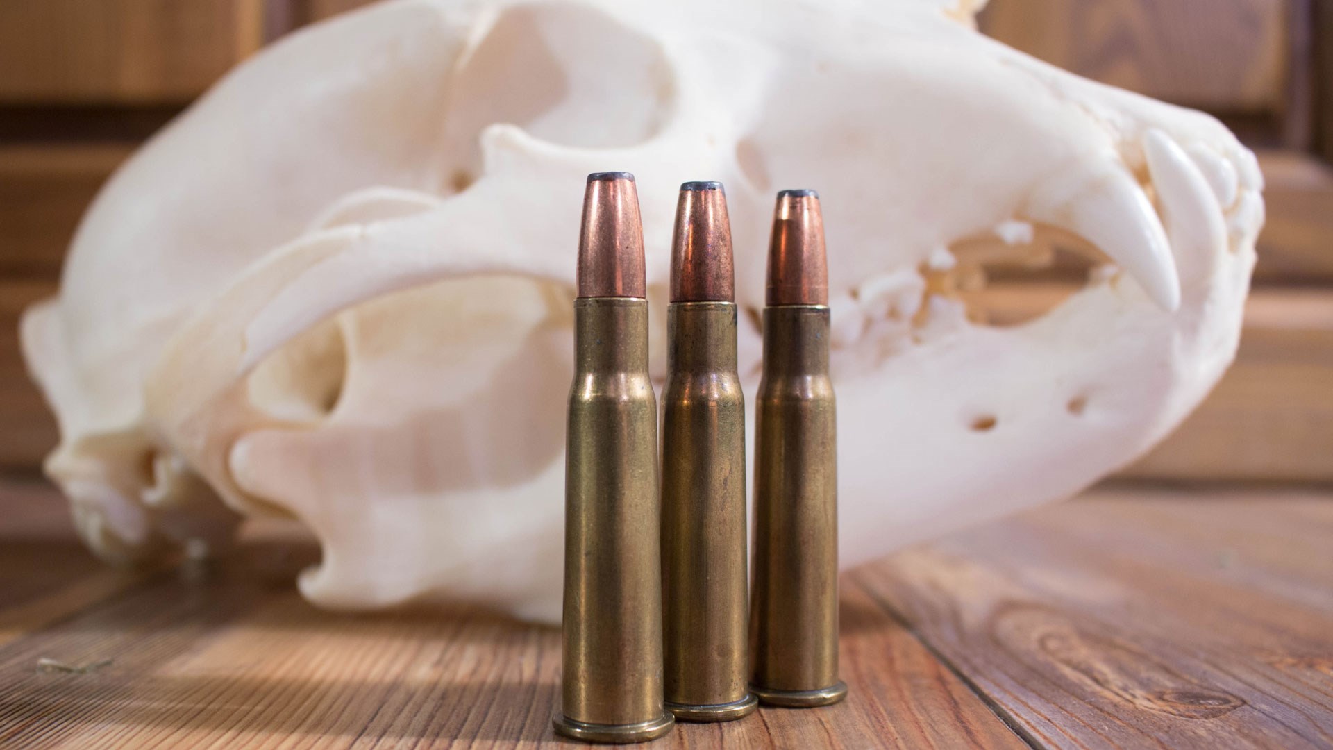 .33 Winchester