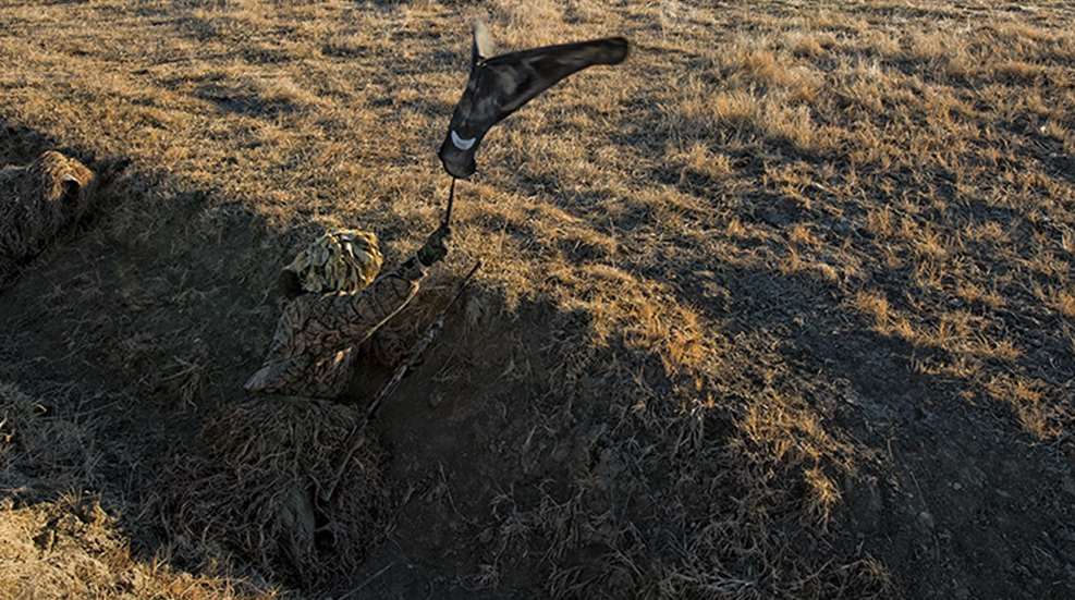 shadow_hunter_f.jpg