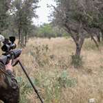 W H2026 04 Hog Tactics IMG 7337