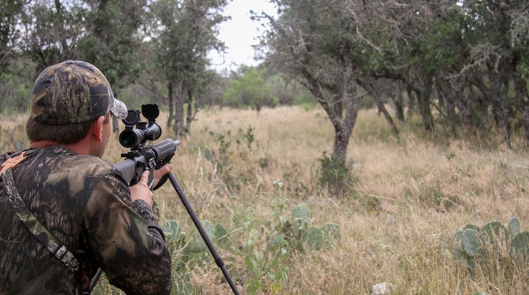 Looking for Hogs vs. Hunting Wild Boars | An Official Journal Of The NRA