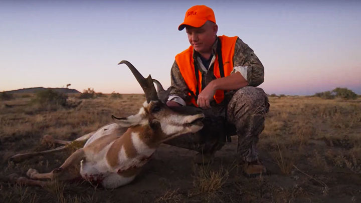 ah-films-pronghorn-conservation_lead.jpg