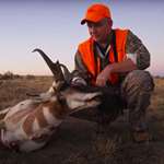 ah-films-pronghorn-conservation_lead.jpg