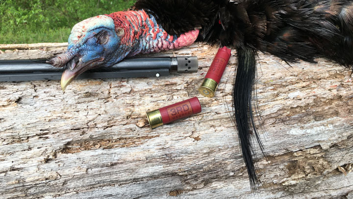 Longbeard with shells and shotgun