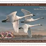 2023 Federal Duck Stampmain (1)