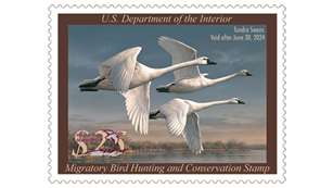 2023 Federal Duck Stampmain (1)