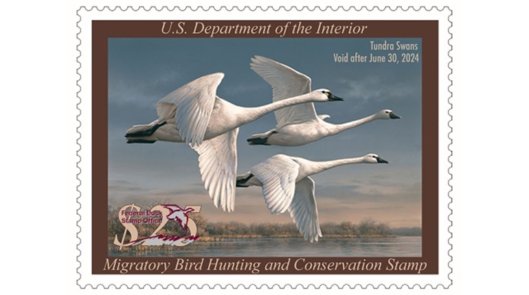 Duck Stamp Modernization Act Passes U.S. House | An Official Journal Of The NRA