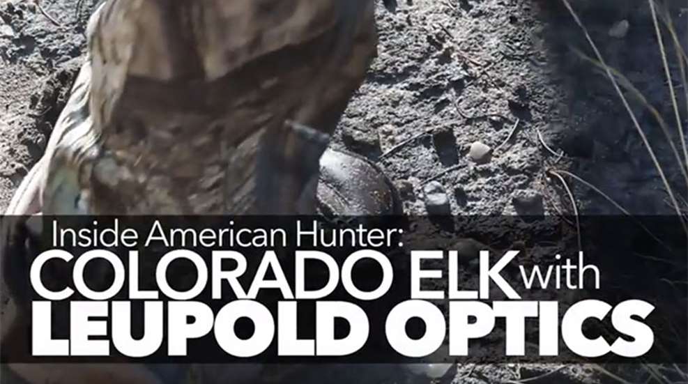 iah_elk_leupold.jpg