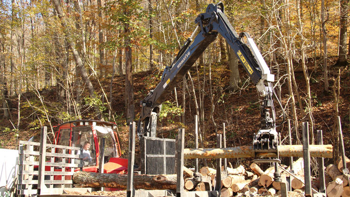 Komatsu dropping lumber into a makeshift lumber yard.