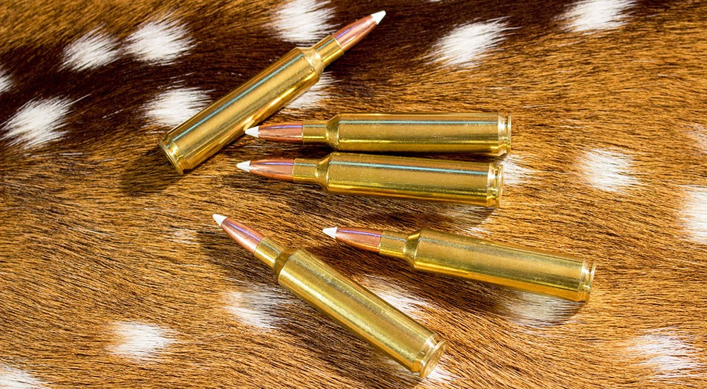 27 Nosler Ammunition on Axis Deer Hide