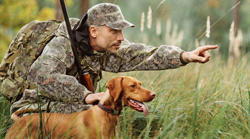 mainmossy-oak-outdoor-dogs-banner.jpg