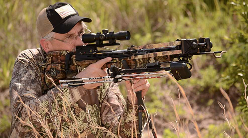 crossbow_hogs_f.jpg