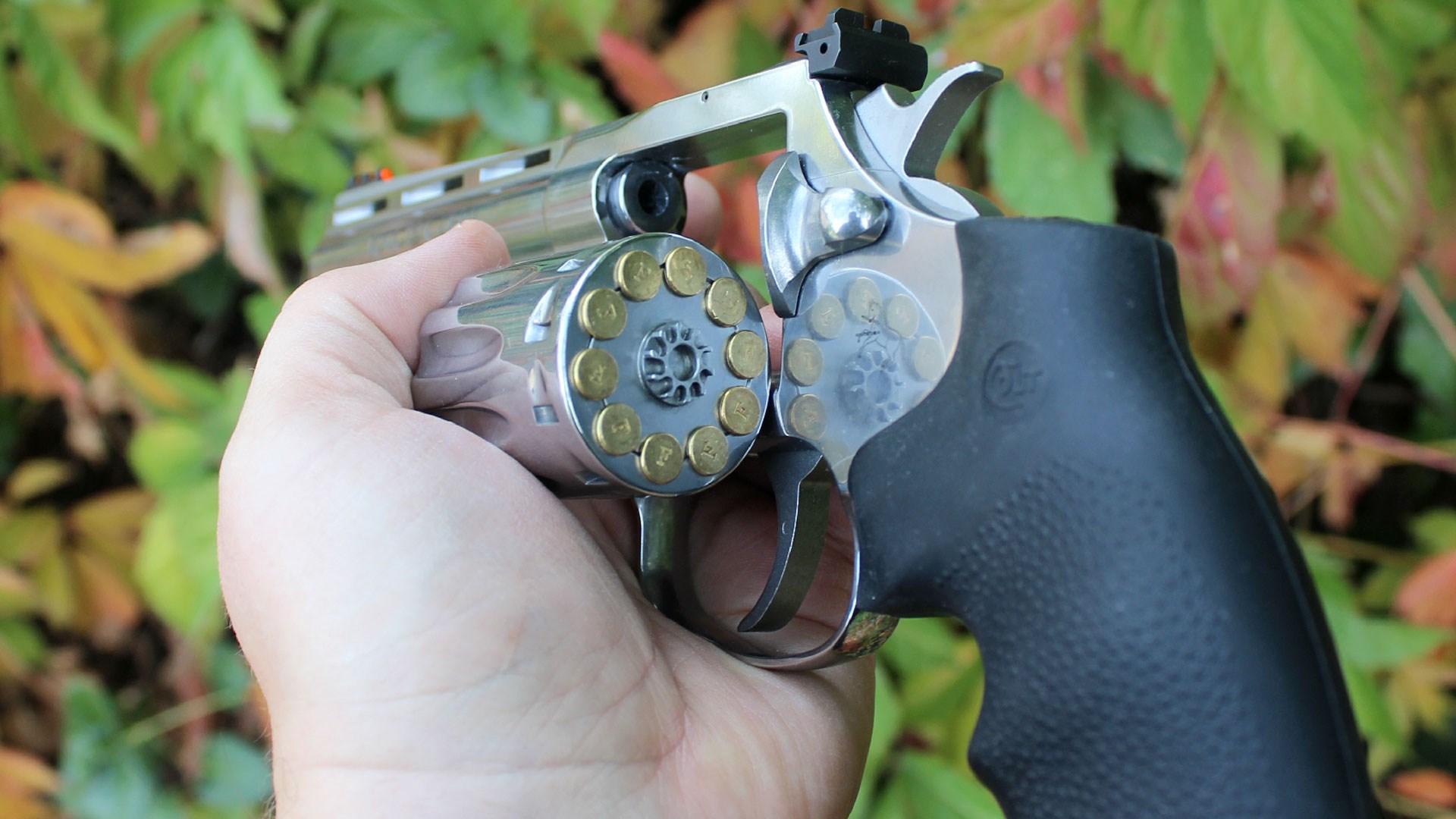 Range Tested: 'Baby Snake' Colt King Cobra Target .22 LR - Guns in the News