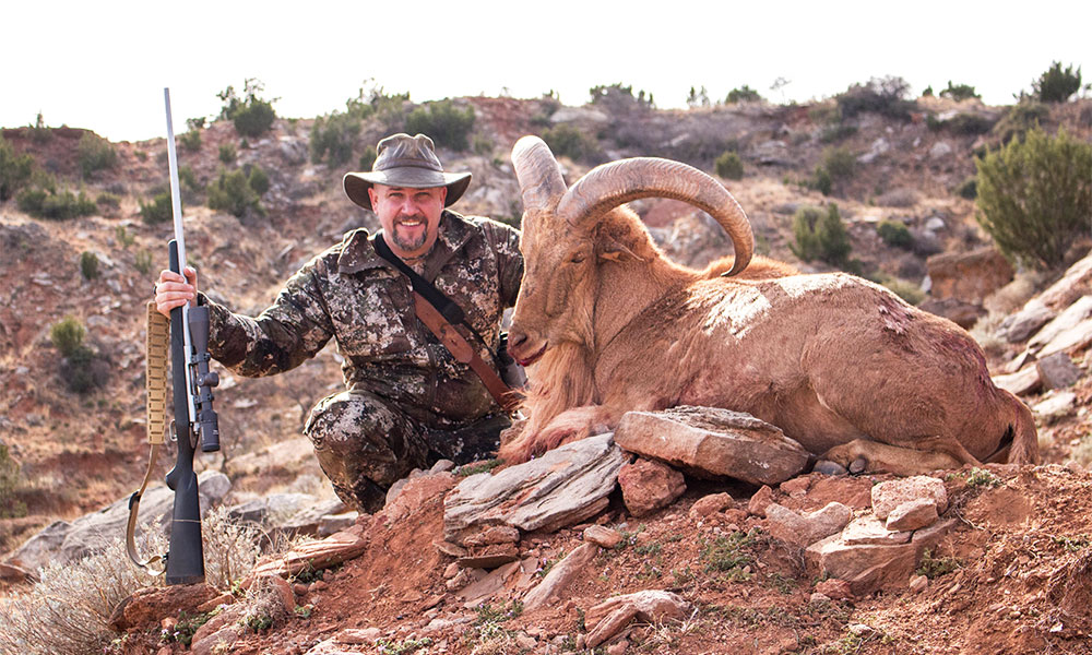 Hunter with Aoudad in Texas