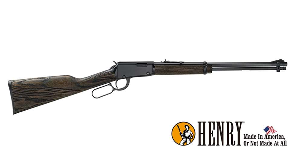 henrygardengun_lead.jpg