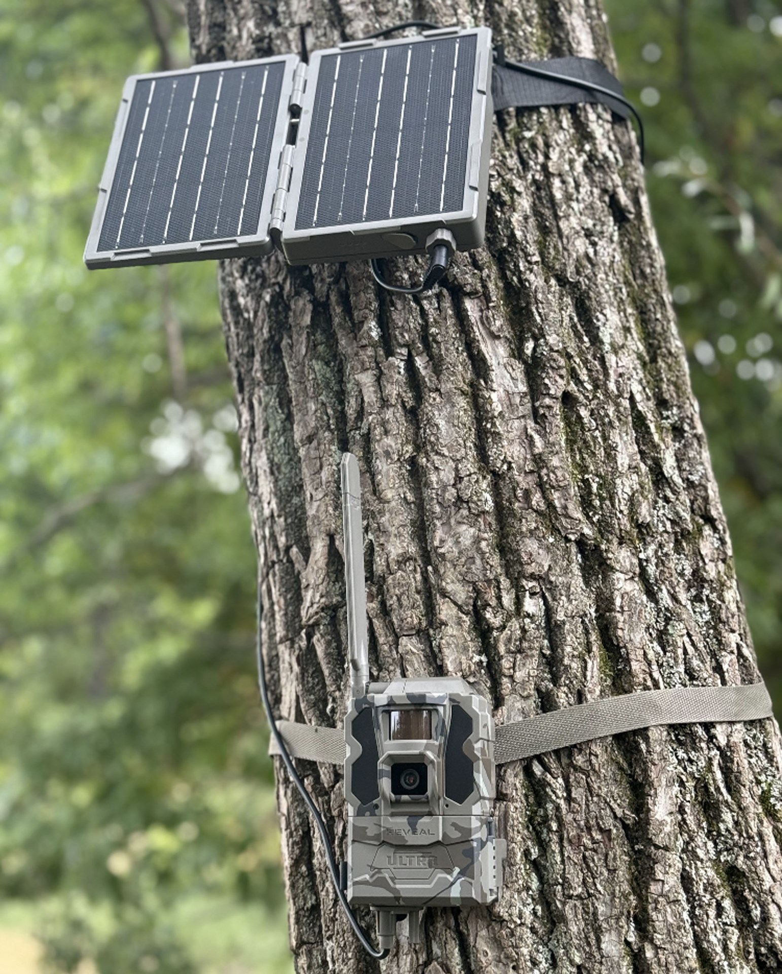 Solar panel on tactacam